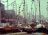 foto Sail 700 (1975) in het Marine Bassin Amsterdam naast de ook niet meer bestaande Zilvermeeuw